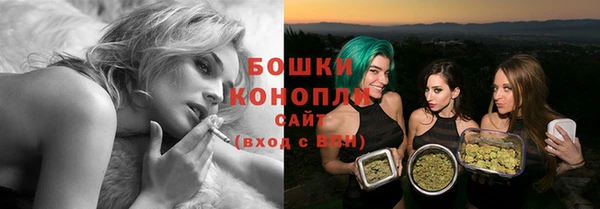 ПСИЛОЦИБИНОВЫЕ ГРИБЫ Баксан