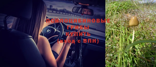 сатива Балабаново