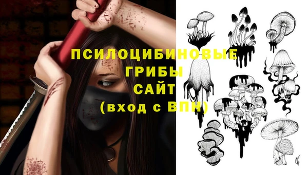 ПСИЛОЦИБИНОВЫЕ ГРИБЫ Баксан