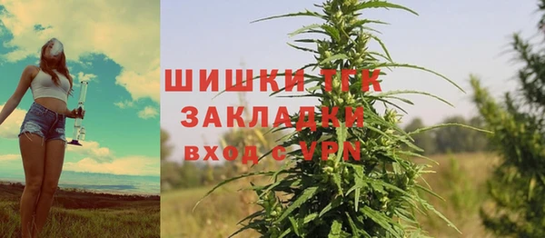ПСИЛОЦИБИНОВЫЕ ГРИБЫ Баксан