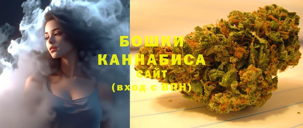 ПСИЛОЦИБИНОВЫЕ ГРИБЫ Баксан